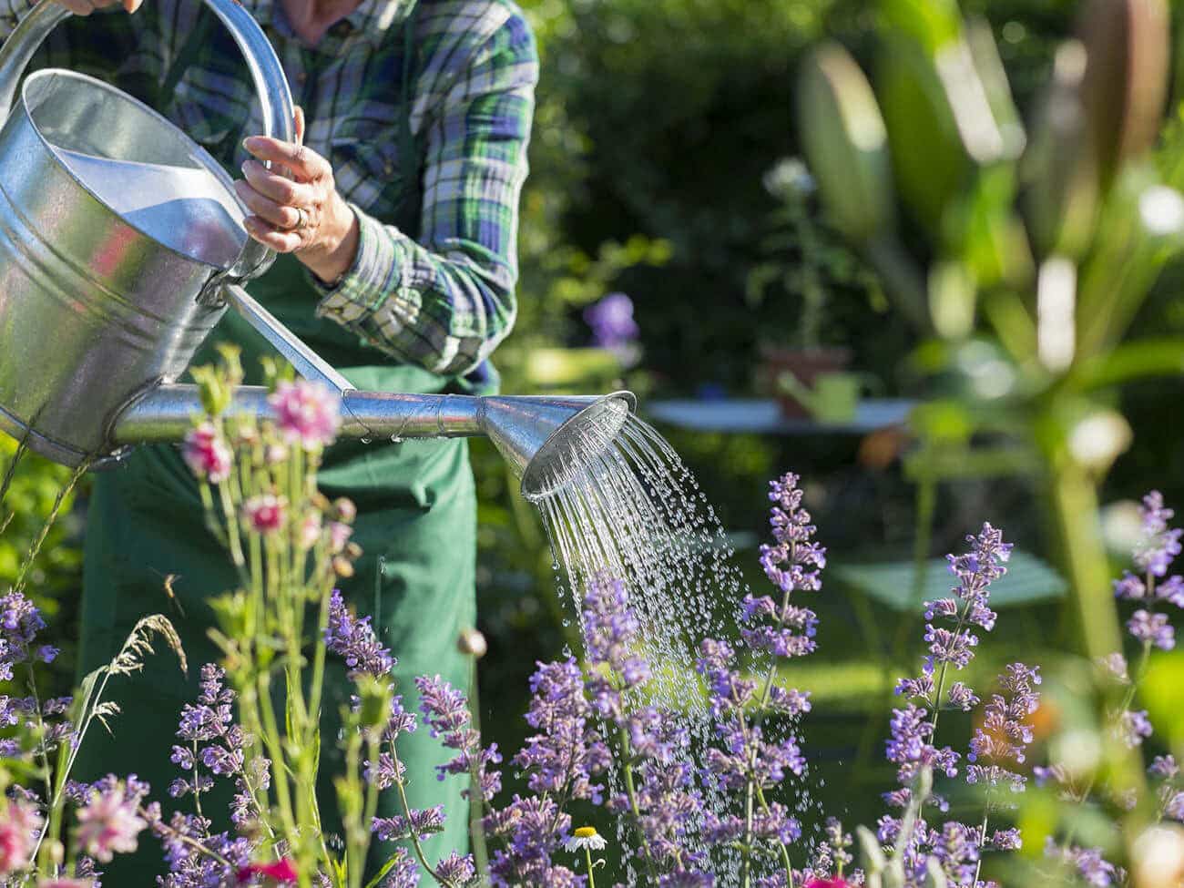 watering flowers with big watering can