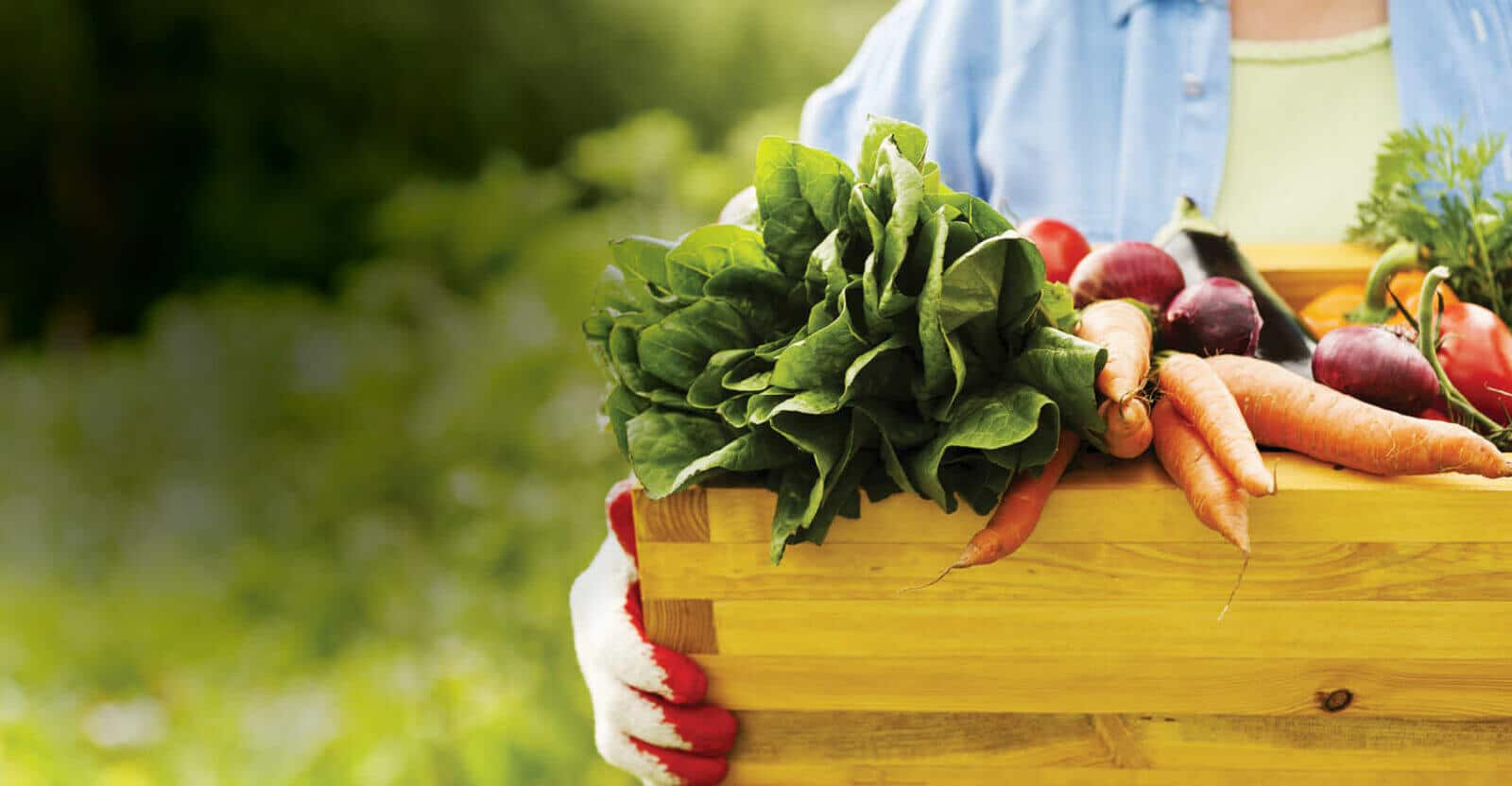 fresh vegetables in a wooden box 2