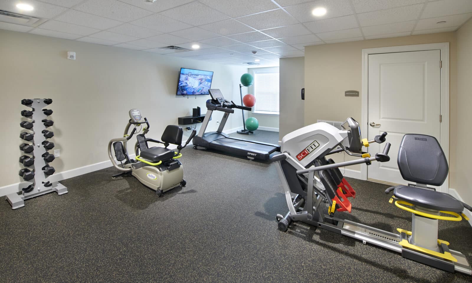 fitness room with three fitness balls, cycling machine, treadmill and free weights and tv